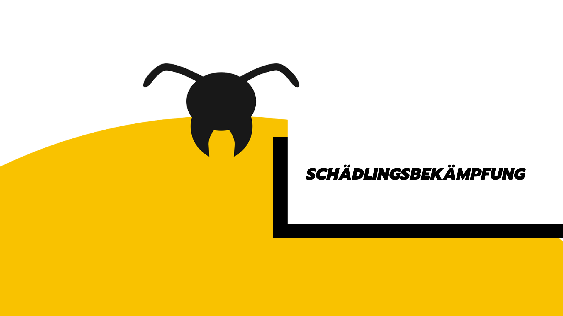 Schädlingsbekämpfung