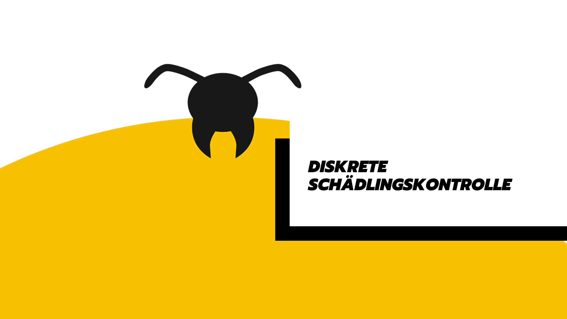 Diskrete Schädlingskontrolle