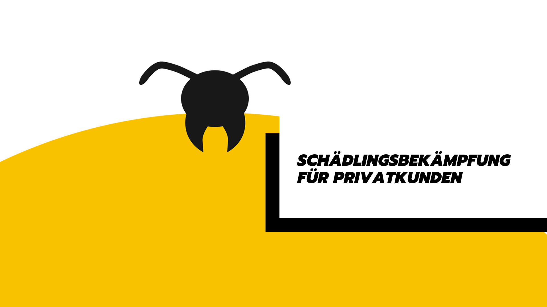 Schädlingsbekämpfung für Privatkunden